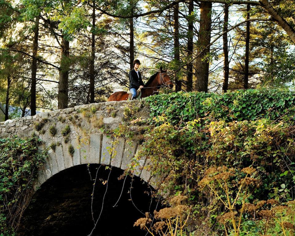 Brooklodge & Macreddin Village Exteriér fotografie